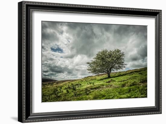 Blowing Over-Mark Gemmell-Framed Photographic Print