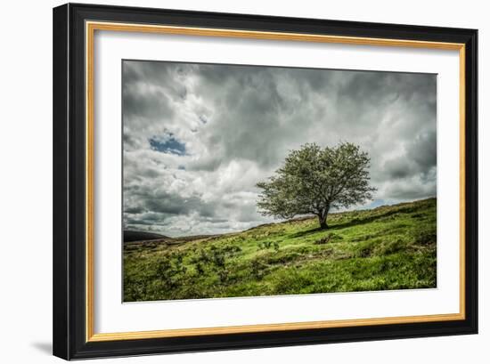 Blowing Over-Mark Gemmell-Framed Photographic Print