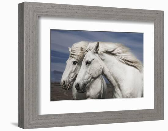 Blowing-Bragi Ingibergsson --Framed Photographic Print