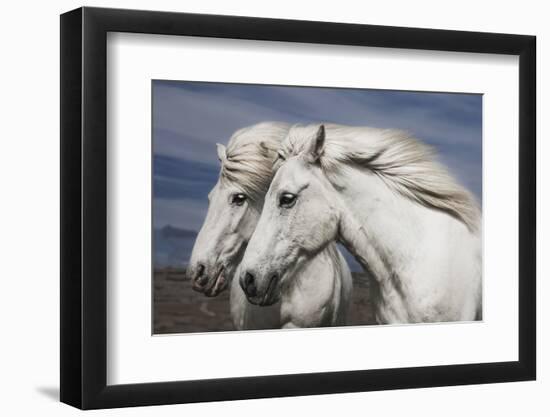 Blowing-Bragi Ingibergsson --Framed Photographic Print