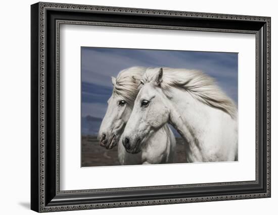 Blowing-Bragi Ingibergsson --Framed Photographic Print