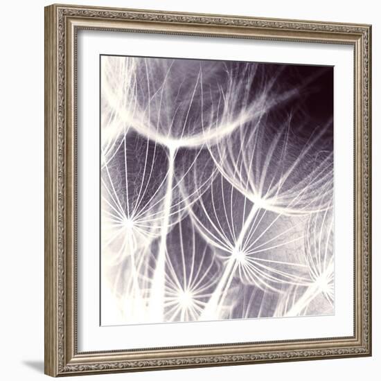 Blown Away-Anna Polanski-Framed Art Print