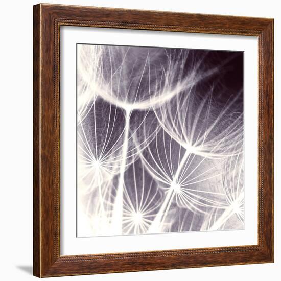 Blown Away-Anna Polanski-Framed Art Print