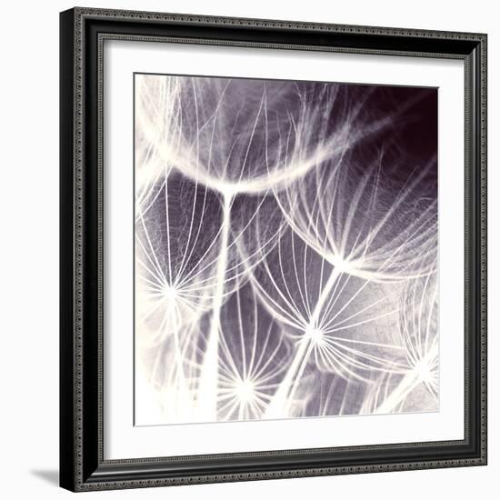 Blown Away-Anna Polanski-Framed Art Print