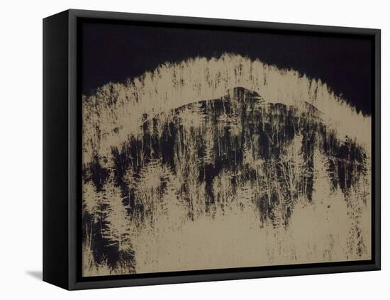 Blown-Petr Strnad-Framed Premier Image Canvas