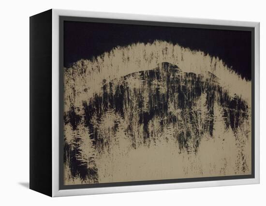 Blown-Petr Strnad-Framed Premier Image Canvas