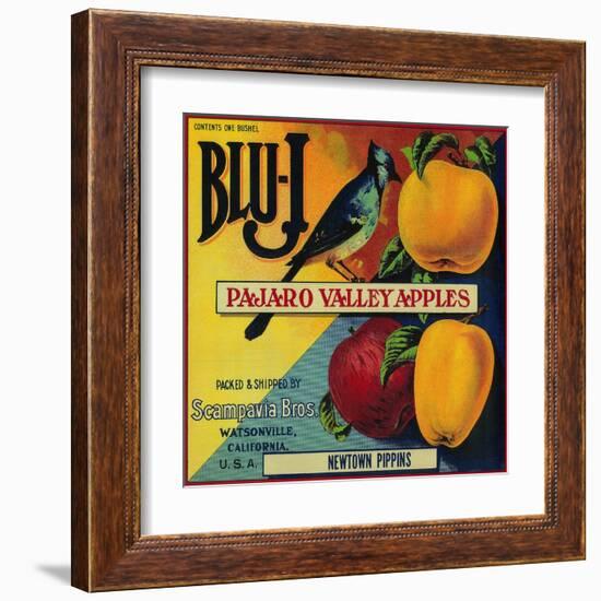 Blu-J Apple Crate Label - Watsonville, CA-Lantern Press-Framed Art Print