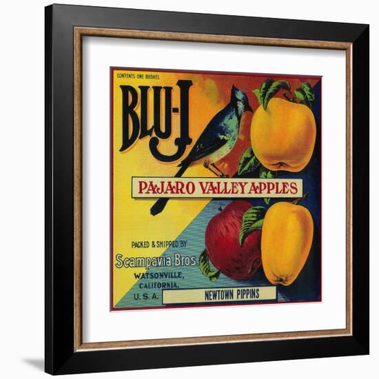 Blu-J Apple Crate Label - Watsonville, CA-Lantern Press-Framed Art Print