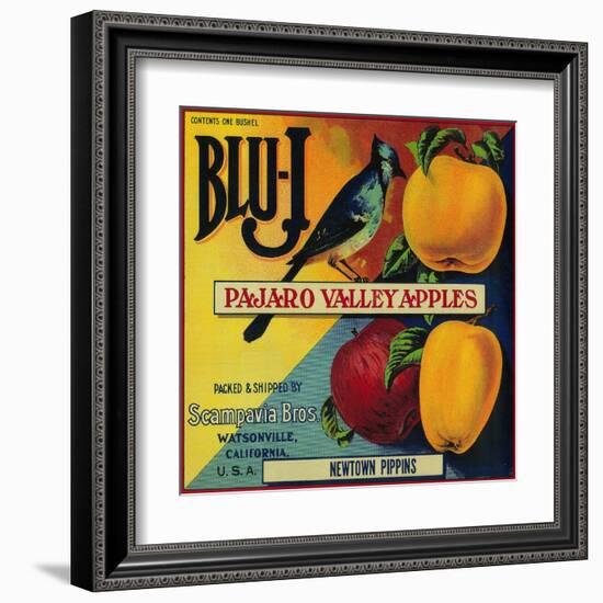 Blu-J Apple Crate Label - Watsonville, CA-Lantern Press-Framed Art Print