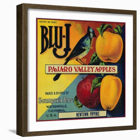 Blu-J Apple Crate Label - Watsonville, CA-Lantern Press-Framed Art Print