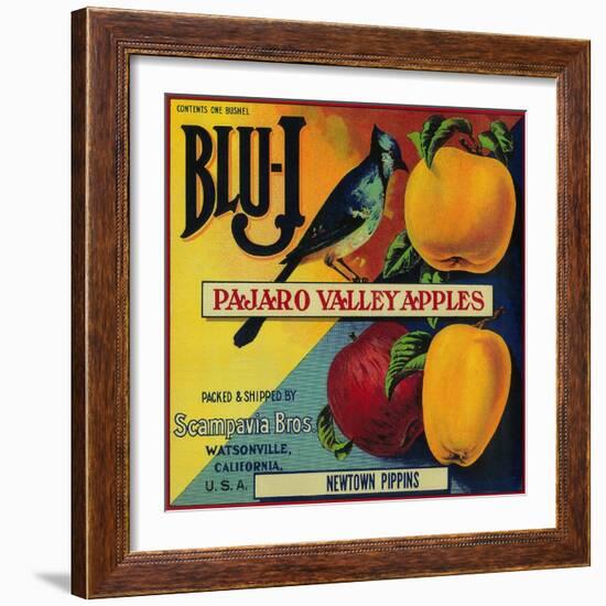 Blu-J Apple Crate Label - Watsonville, CA-Lantern Press-Framed Art Print