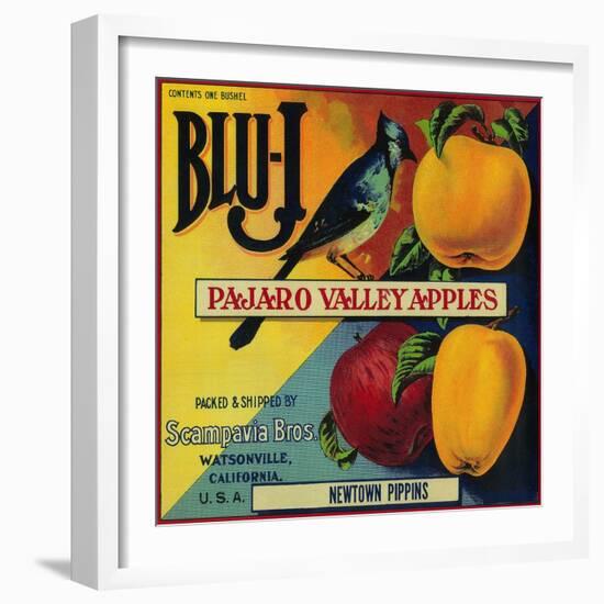 Blu-J Apple Crate Label - Watsonville, CA-Lantern Press-Framed Art Print