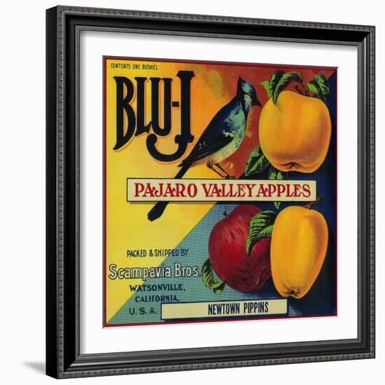 Blu-J Apple Crate Label - Watsonville, CA-Lantern Press-Framed Art Print