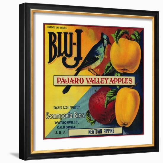 Blu-J Apple Crate Label - Watsonville, CA-Lantern Press-Framed Art Print