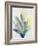 Blue Agave Bloom II-Kari Taylor-Framed Giclee Print