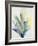 Blue Agave Bloom II-Kari Taylor-Framed Giclee Print