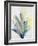 Blue Agave Bloom II-Kari Taylor-Framed Giclee Print