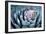 Blue Aloe-Dennis Frates-Framed Giclee Print