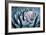 Blue Aloe-Dennis Frates-Framed Giclee Print