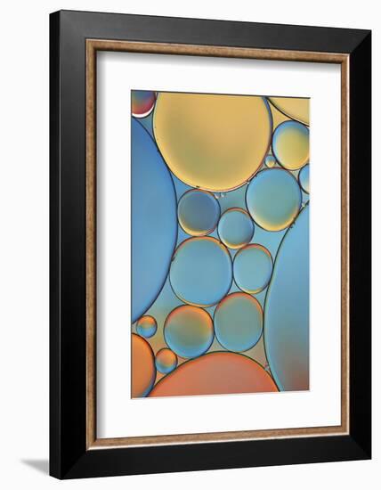 Blue and Apricot Drops-Cora Niele-Framed Photographic Print