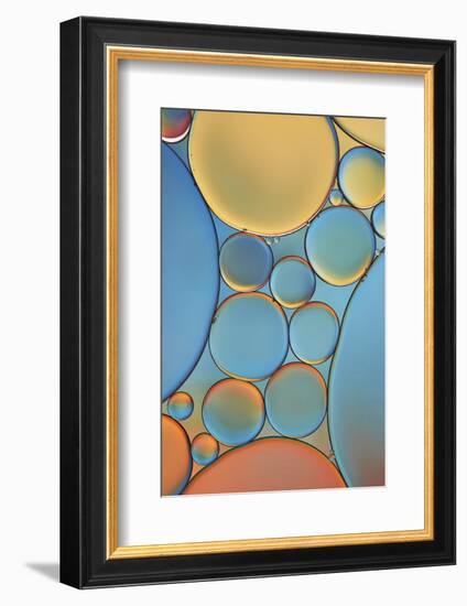 Blue and Apricot Drops-Cora Niele-Framed Photographic Print