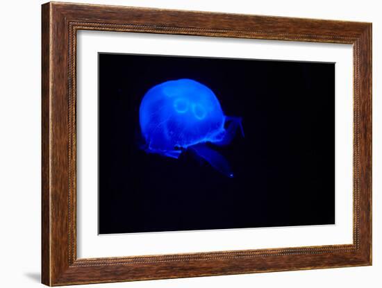 Blue and black III-Peter Morneau-Framed Art Print