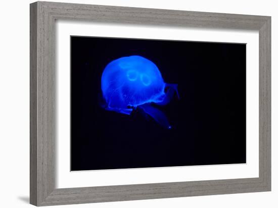 Blue and black III-Peter Morneau-Framed Art Print