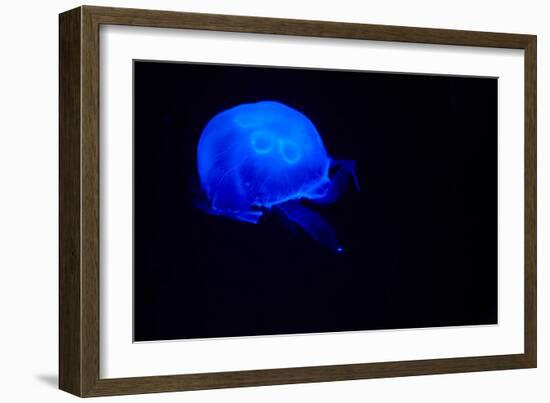 Blue and black III-Peter Morneau-Framed Art Print