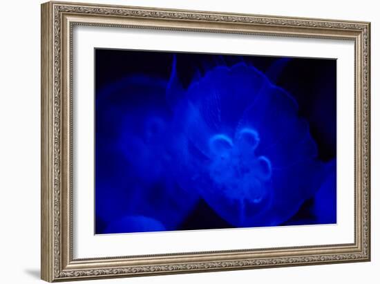 Blue and black IV-Peter Morneau-Framed Art Print