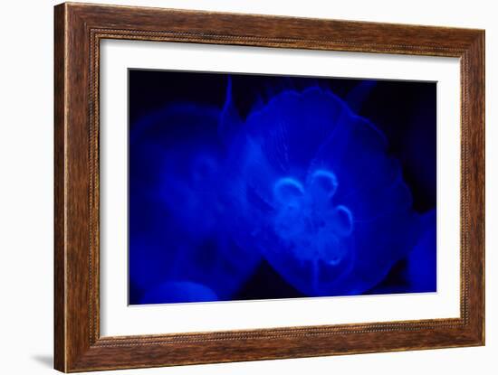 Blue and black IV-Peter Morneau-Framed Art Print