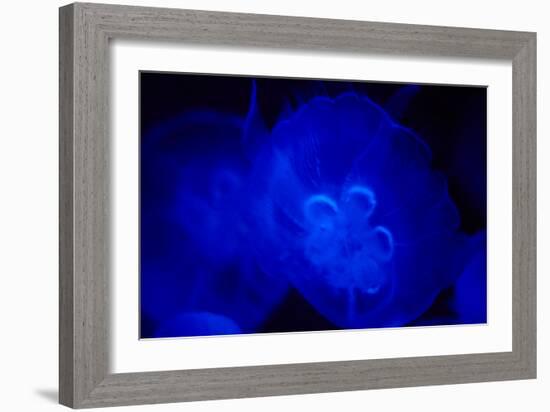 Blue and black IV-Peter Morneau-Framed Art Print