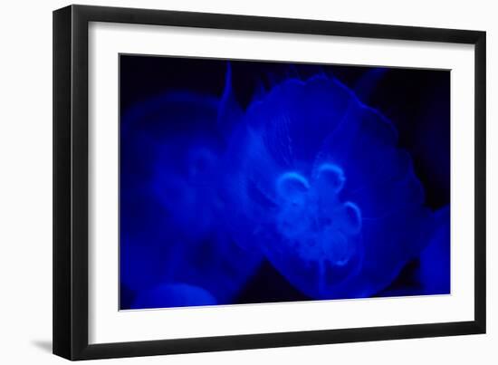 Blue and black IV-Peter Morneau-Framed Art Print