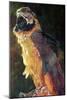 Blue and Gold Macaw, 1997-Odile Kidd-Mounted Giclee Print
