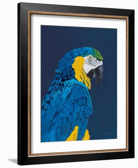 Blue and Gold Macaw Navy-Pamela Munger-Framed Art Print