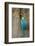 Blue and Gold Macaw with Scarlet Macaw, Costa Rica-null-Framed Photographic Print