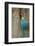 Blue and Gold Macaw with Scarlet Macaw, Costa Rica-null-Framed Photographic Print