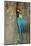 Blue and Gold Macaw with Scarlet Macaw, Costa Rica-null-Mounted Photographic Print