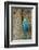 Blue and Gold Macaw with Scarlet Macaw, Costa Rica-null-Framed Photographic Print