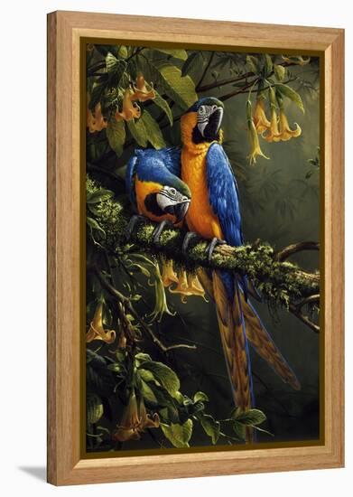 Blue and Gold Macaw-Michael Jackson-Framed Premier Image Canvas