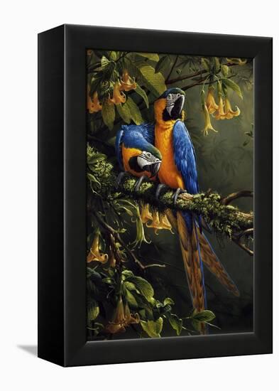 Blue and Gold Macaw-Michael Jackson-Framed Premier Image Canvas