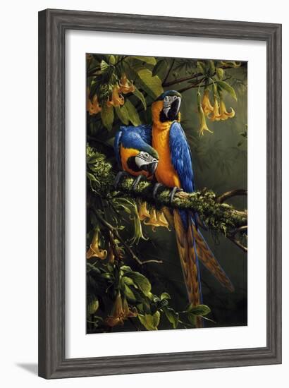 Blue and Gold Macaw-Michael Jackson-Framed Giclee Print