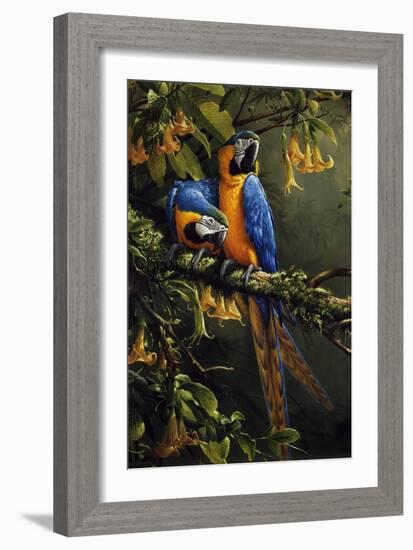 Blue and Gold Macaw-Michael Jackson-Framed Giclee Print