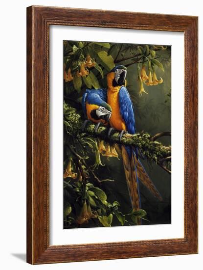 Blue and Gold Macaw-Michael Jackson-Framed Giclee Print