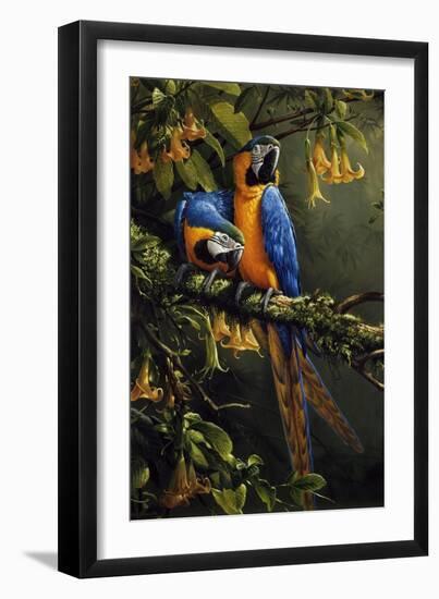 Blue and Gold Macaw-Michael Jackson-Framed Giclee Print