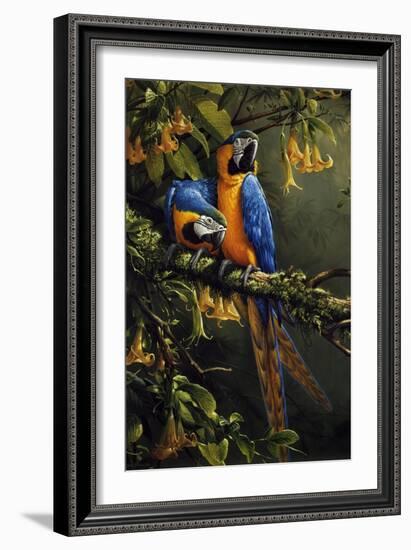 Blue and Gold Macaw-Michael Jackson-Framed Giclee Print