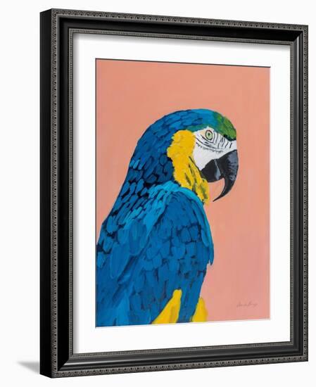 Blue and Gold Macaw-Pamela Munger-Framed Art Print