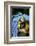 Blue-And-Gold Macaws at Zoo Ave Park-Paul Souders-Framed Photographic Print