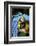 Blue-And-Gold Macaws at Zoo Ave Park-Paul Souders-Framed Photographic Print