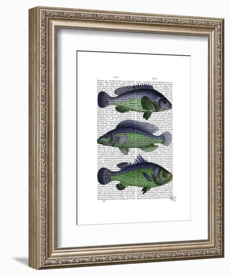 Blue and Green Fish Trio-Fab Funky-Framed Art Print
