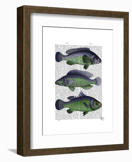 Blue and Green Fish Trio-Fab Funky-Framed Art Print